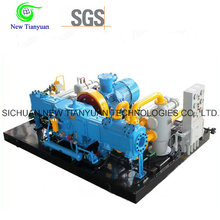 Hydrogen/Oxygen/Nitrogen/CO2 Gas Compressor for Filling Station